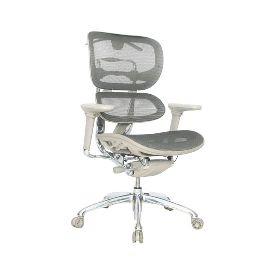 Silla Ergohuman Gris de LUJO  Gerente